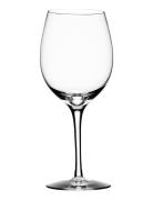 Merlot Wine 57Cl  Home Tableware Glass Wine Glass Red Wine Glasses Nud...