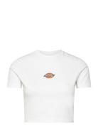 Maple Valley Tee Tops Crop Tops Short-sleeved Crop Tops White Dickies