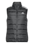 W Ess 3S L D Ve Sport Padded Vests Black Adidas Sportswear