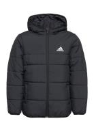 Jk Pad Jkt Sport Jackets & Coats Puffer & Padded Black Adidas Sportswe...