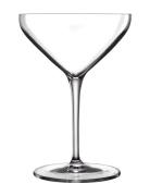 Cocktailglas/Martiniglas Atelier 30 Cl Klar Home Tableware Glass Cockt...