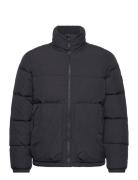 Dellbrueck Jkt Sport Jackets Padded Jackets Black Jack Wolfskin