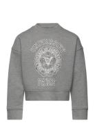 Sweatshirt Tops Sweatshirts & Hoodies Sweatshirts Grey Zadig & Voltair...