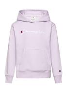 Hooded Sweatshirt Tops Sweatshirts & Hoodies Hoodies Pink Champion