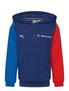 Bmw Mms Kids Ess Hoodie Ft Tops Sweatshirts & Hoodies Hoodies Navy PUM...