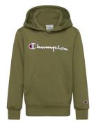 Hooded Sweatshirt Tops Sweatshirts & Hoodies Hoodies Green Champion