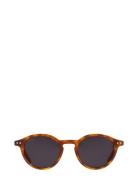Lia Havana Black Solbriller Black Corlin Eyewear
