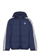 Padded Jacket Sport Jackets & Coats Puffer & Padded Navy Adidas Origin...