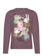 Nmfamanda Peppapig Ls Top Box Cplg Tops T-shirts Long-sleeved T-Skjort...