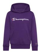 Hooded Sweatshirt Tops Sweatshirts & Hoodies Hoodies Purple Champion