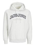 Jjecaleb Varsity Sweat Hood Noos Tops Sweatshirts & Hoodies Hoodies Gr...