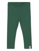 Legging Modal Bottoms Leggings Green Petit Piao