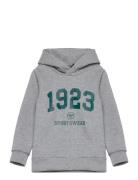 Hmlnipps Hoodie Tops Sweatshirts & Hoodies Hoodies Grey Hummel