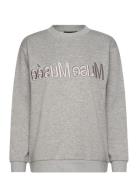 Cmeva-Sweatshirt Tops Sweatshirts & Hoodies Sweatshirts Grey Copenhage...