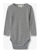 Wool Body L/S Lucca Bodies Long-sleeved Navy Wheat