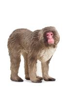 Schleich Japanese Macaque Toys Playsets & Action Figures Animals Multi...