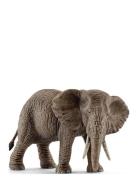Schleich African Elephant Female Toys Playsets & Action Figures Animal...
