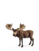 Schleich Moose Bull Toys Playsets & Action Figures Animals Multi/patte...