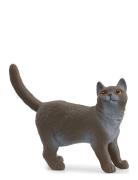 Schleich British Shorthair Cat Toys Playsets & Action Figures Animals ...