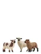 Schleich Sheep Friends Toys Playsets & Action Figures Animals Multi/pa...