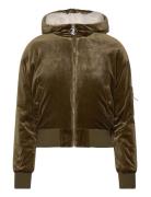 Rydell Bomber Bomberjakke Khaki Green Juicy Couture