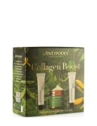 Collagen Boost Skincare Set Hudplejesæt Nude Antipodes