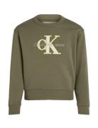 Outlined Mono Relaxed Cn Tops Sweatshirts & Hoodies Sweatshirts Khaki ...