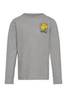 T-Shirt Ls Tops T-shirts Long-sleeved T-Skjorte Grey Minymo