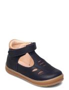 Almo Ep Shoes Pre-walkers - Beginner Shoes  Blue Kavat