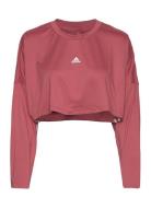 Hyperglam Cut 3-Stripes Lightweight Over D Sweatshirt Sport Crop Tops ...