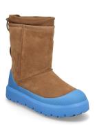 M Classic Short Weather Hybrid Shoes Boots Winter Boots Brown UGG