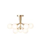 Apiales 9 Ceiling Home Lighting Lamps Ceiling Lamps Flush Mount Ceilin...