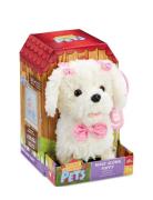 Happy Pets Walk Along Poodle Toys Interactive Animals & Robots Interac...