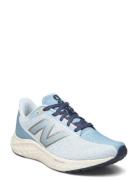 New Balance Freshfoam Arishi V4 Sport Sport Shoes Sport Running Shoes ...