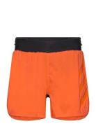 Agr Short Sport Men Sport Clothing Sport Shorts Sport Training Shorts ...