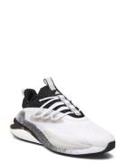 Alphaboost V2 Sport Sport Shoes Sport Sneakers Sport Low Top Sneakers ...