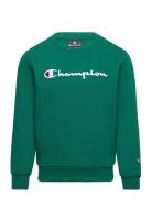 Crewneck Sweatshirt Sport Sweatshirts & Hoodies Sweatshirts Green Cham...