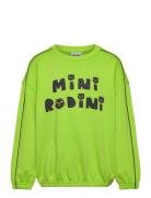 Mini Rodini Cats Sp Sweatshirt Tops Sweatshirts & Hoodies Sweatshirts ...