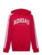 J C Colleg Hd Tops Sweatshirts & Hoodies Hoodies Red Adidas Sportswear