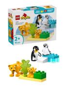 Vilde Dyrefamilier: Pingviner Og Løver 10442 Toys Lego Toys Lego duplo...