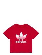 Trefoil Tee Tops T-Kortærmet Skjorte Red Adidas Originals