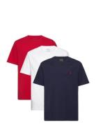 Cotton Jersey Crewneck Tee 3-Pack Tops T-Kortærmet Skjorte Multi/patte...