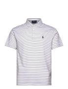 Custom Slim Fit Striped Soft Cotton Polo Tops Polos Short-sleeved Whit...