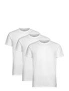 Basic 3 Pack T-Shirt Tops T-Kortærmet Skjorte White Lyle & Scott