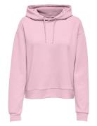 Onplounge Life Hood Ls Swt Noos Sport Sweatshirts & Hoodies Hoodies Pi...