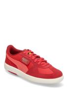 Ferrari Palermo Sport Women Sport Shoes Sport Sneakers Sport Low Top S...