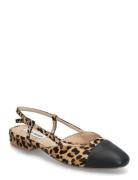 Belinda-L Ballerina Ballerinasko Ballerinaer Black Steve Madden