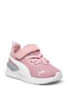 Anzarun Lite Ac Inf Sport Sports Shoes Running-training Shoes Pink PUM...