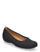 Ballerina Ballerinasko Ballerinaer Navy Gabor