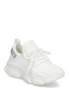 Jprotégé Sneaker Low-top Sneakers White Steve Madden